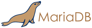 Read more about the article Instalando MariaDB no Debian 11